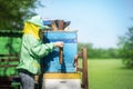 A young girl beekeeper in apiary Royalty Free Stock Photo
