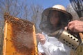 A young girl beekeeper in apiary Royalty Free Stock Photo