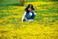 Young girl bending down picking yellow wild flowers