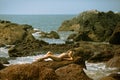 Young girl in bikini with beutiful body and sunglasses lying on the stones on the beach