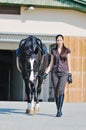 Young girl and black horse Royalty Free Stock Photo