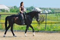 Young girl and black horse Royalty Free Stock Photo