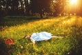 Young girl in a blue dress gently in the magical forest with a basket of apples Royalty Free Stock Photo