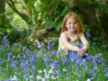 Young girl in bluebell wood Royalty Free Stock Photo