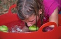 Young Girl Bobbing for Apples Royalty Free Stock Photo
