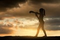 Young girl boxing at sunset. Royalty Free Stock Photo