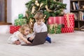 Young girl and boy watching video on laptop computer beside Christmas tree Royalty Free Stock Photo