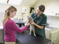 Young Girl Bringing Cat For Examination By Vet Royalty Free Stock Photo