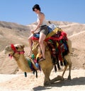 Young Girl Camel Dead Sea Israel Royalty Free Stock Photo