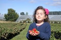 Young girl carrying fresh strawberries Royalty Free Stock Photo