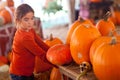 Young Girl Choosing A Pumpkin at the Carnival Royalty Free Stock Photo