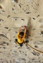 Young girl climbing an artificial wall