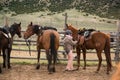 Young girl in corral saddling her horse for a trailride Royalty Free Stock Photo