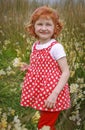 Young girl with curly red hair in field of wildflowers