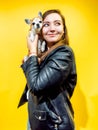 Young girl with a cute little dog on her hands yellow background around. Pretty girl with curvaceous body posing at the Royalty Free Stock Photo