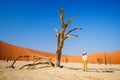 Young girl in Deadvlei Namibia Royalty Free Stock Photo