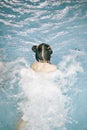 Young girl diving in the pool having fun in waterpark Royalty Free Stock Photo