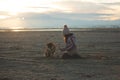 A young girl with a dog in nature. Kid girl playing with a shiba inu dog on the beach at sunset in Greece in winter