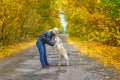 Young girl and dog playing on the road in yellow forest