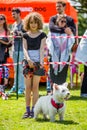 A young girl with a dog - White West Highland Terrier at the Hampstead Heath dog show.