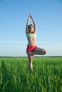 Young girl doing yoga against nature Royalty Free Stock Photo