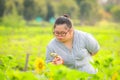 Young girl with down syndrome exploring sunflower with magnifying glass Royalty Free Stock Photo