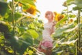 young girl enjoying nature on the field of sunflowers at sunset, portrait of the beautiful redheaded woman girl with a sunflowers Royalty Free Stock Photo