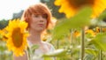 Young girl enjoying nature on the field of sunflowers at sunset, portrait of the beautiful redheaded woman girl with a sunflowers Royalty Free Stock Photo