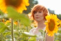 young girl enjoying nature on the field of sunflowers at sunset, portrait of the beautiful redheaded woman girl with a sunflowers Royalty Free Stock Photo