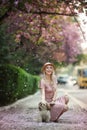 A young girl of the European appearance holds a dog breed Chihuahua, plays with her, kisses her, summer in the Park day Royalty Free Stock Photo