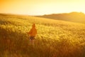 Young girl exploring fields and farmlands on a sunset. Summer rural landscape of hills, curved roads and cypresses of Tuscany, Royalty Free Stock Photo