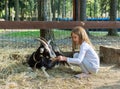 Young girl feeding goat on farm Royalty Free Stock Photo