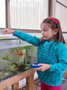 Young Girl feeding Goldfish. Royalty Free Stock Photo