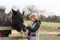 Young girl feeding horse