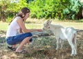 Young girl feeding a small white goat in a grove. Royalty Free Stock Photo