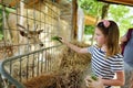 Young girl feeding wild deers at a zoo on summer day. Children watching reindeers on a farm Royalty Free Stock Photo