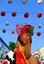 Young girl with flamenco dresses, Seville Fair, Andalusia, Spain Royalty Free Stock Photo