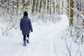 A young girl goes on a forest road in winter, an active rest_ Royalty Free Stock Photo