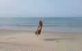 Girl holding onto the ocean horizon