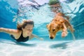 Young girl with golden retriever dog diving in swimming pool Royalty Free Stock Photo