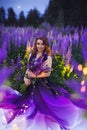 A magical portrait of a young girl in a gradient dress in a purple-pink lupine field at twilights. Royalty Free Stock Photo