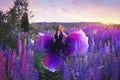 A magical portrait of a young girl in a gradient dress in a purple-pink lupine field at sunset. Royalty Free Stock Photo