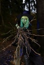 Young girl with green hair and broom in suit of witch in forest. Halloween time