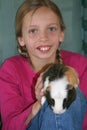 Young girl with guinea pig Royalty Free Stock Photo