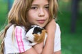 Young girl with guinea pig. Child holding pet rodent. Animal care concept Royalty Free Stock Photo