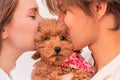 Girl and guy holding curly cute puppy, kiss hug