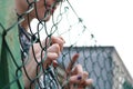 Young girl hand through green steel net close up Royalty Free Stock Photo