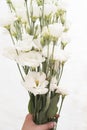 A young girl hand holding a large bouquet of fresh white flowers. Bright feminine lifestyle Royalty Free Stock Photo