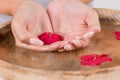 Young girl hand in wooden bowl with water and red flower Royalty Free Stock Photo