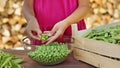 Young girl hands shelling peas, closeup